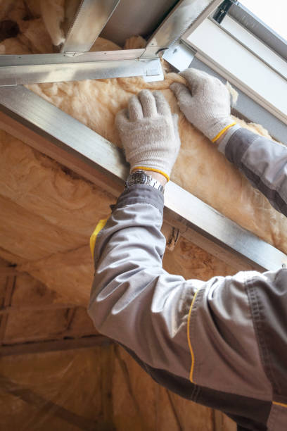 Best Professional Insulation Contractor  in Jordan, MN