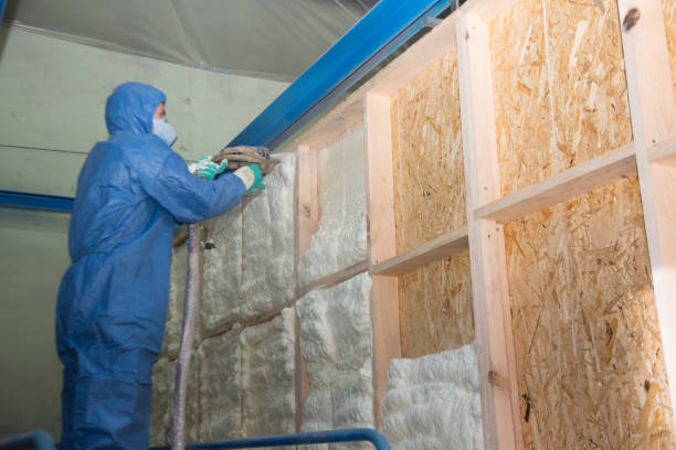 Best Insulation Replacement Services  in Jordan, MN